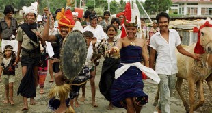 Harvest festival procession near Waikabubak, Sumba, Nusa Tenggara, eastern Indonesia